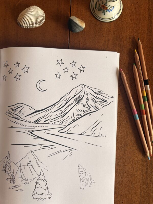Skies Activity Book Grades K-3